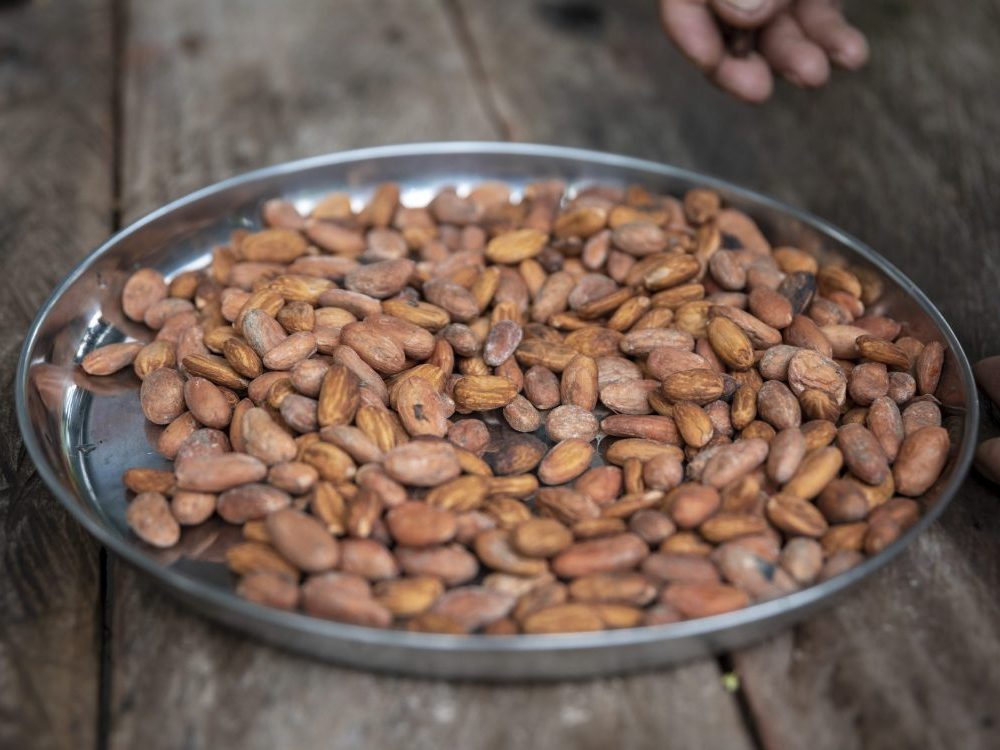 Tour de Cacao Especializado 2-Dias Echarati