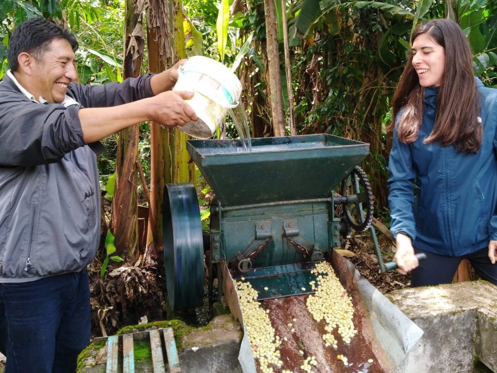 Tour Machu Picchu y Café: Cultura Viva y Selva de Cusco 6 Días