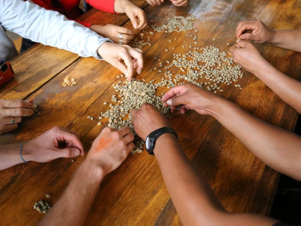 Experiencia de Café y Cacao 1-Dia en la selva de Cusco