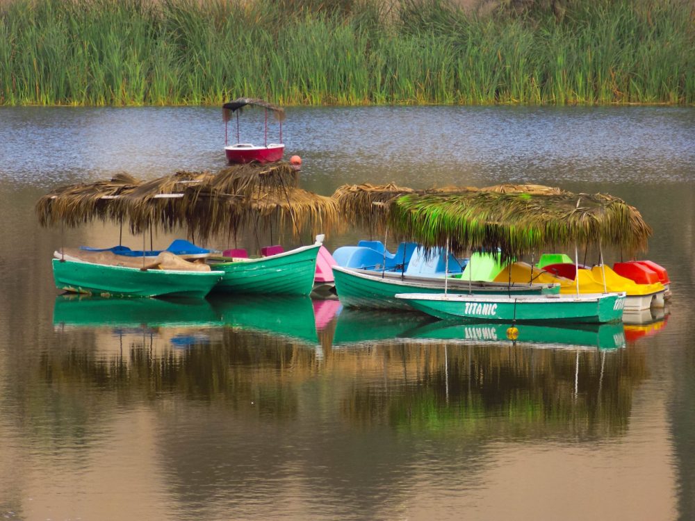 Tour Lago Titicaca: Uros y Taquile en Lancha Veloz (Full Day)