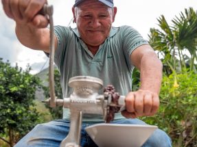 Tour de Cacao 1-Día desde Cusco