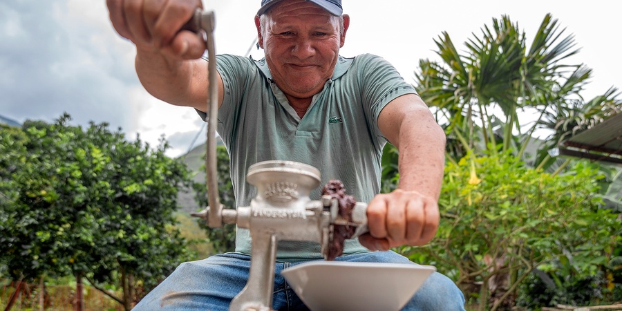 Tour de Cacao 1-Día desde Cusco