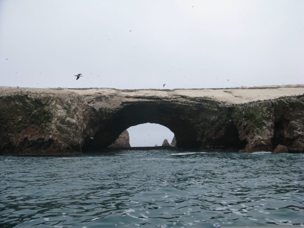 Paracas Piedra