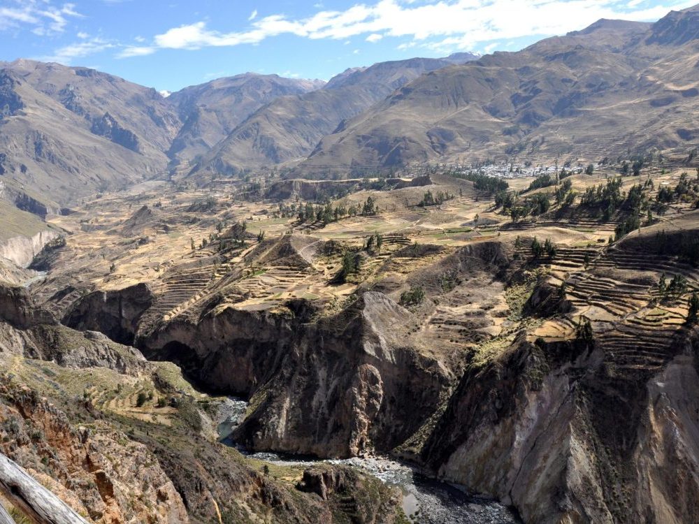 Cañon del Colca
