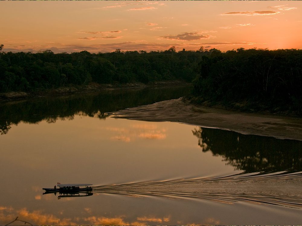 Sachavacayoc Tour: 4 Días de Expedición Profunda en Tambopata