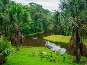 Tour Pacaya Samiria: 3 Días de Aventura en la Selva de los Espejos Tour Pacaya Samiria: 3 Días de Aventura en la Selva de los Espejos