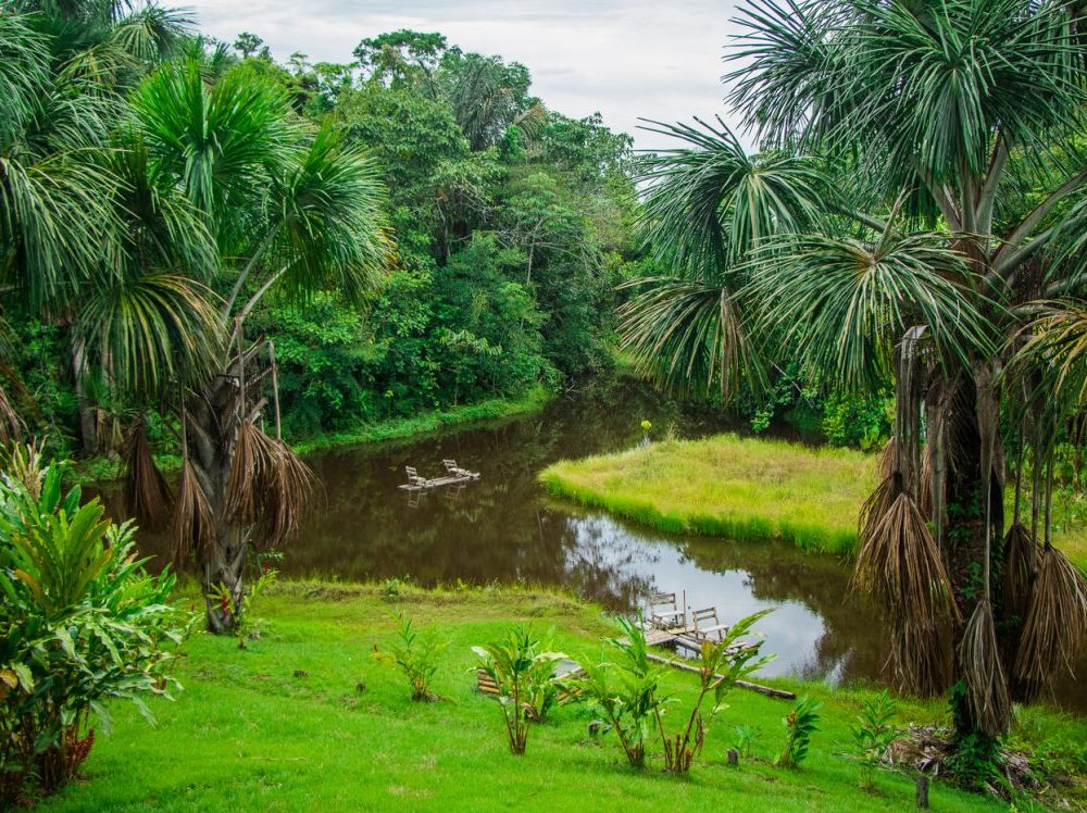 Tour Pacaya Samiria: 3 Días de Aventura en la Selva de los Espejos
