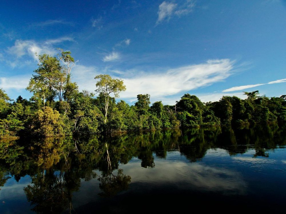 Amazonas Samiria