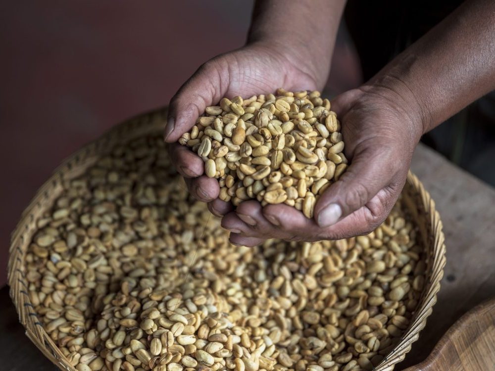 Experiencia Completa de Café y Cacao 2-Dias