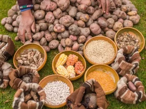 Tour Cultural en Pisac: Parque de la Papa y Taller de Platería Tour Cultural en Pisac: Parque de la Papa y Taller de Platería